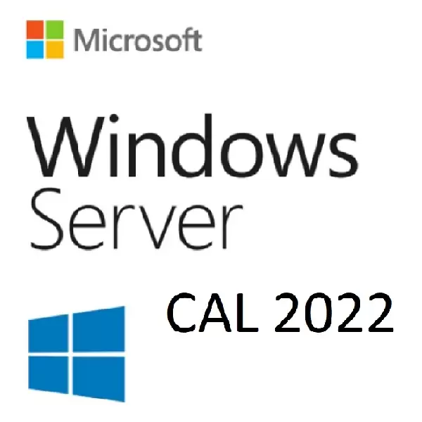 Microsoft Windows Server CAL 2022 Russian 1pk ESD 5 Clt User CAL