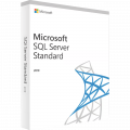Microsoft SQL Server Standard 2022 English (+10 User) ESD