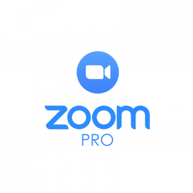 Zoom Профессиональный 1 месяц (новая учётная запись)