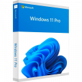 Microsoft Windows 11 Professional Microsoft Windows 11 Professional