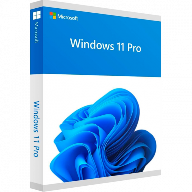 Microsoft Windows 11 Professional
