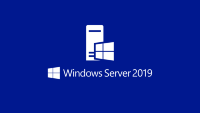 Microsoft Windows Server 2019 Standard Edition RU 16-Core ROK DVD (Proliant only) Microsoft Windows Server 2019 Standard Edition RU 16-Core ROK DVD (Proliant only)