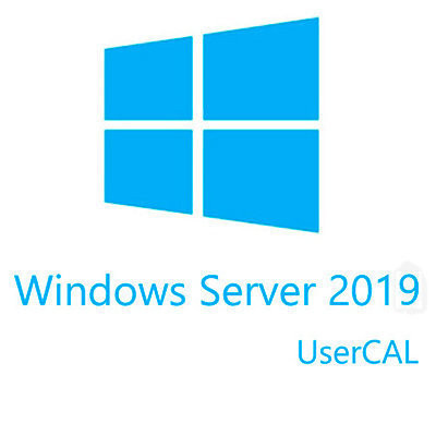 Microsoft Windows Server CAL 2019 1pk DSP OEI 5 Clt User CAL